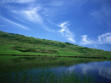 村上誠司法書士事務所