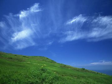 やましな司法書士事務所