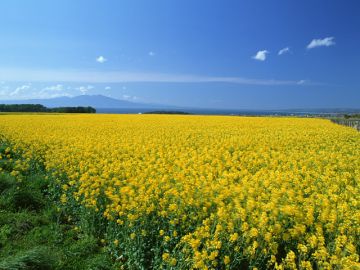 上原隆利司法書士事務所