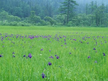 高山修二司法書士事務所