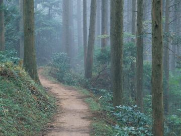 野村司法書士事務所