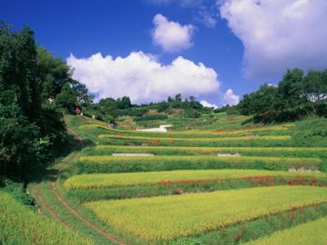 門口和成司法書士事務所